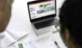 19 masterstudy_placeholder